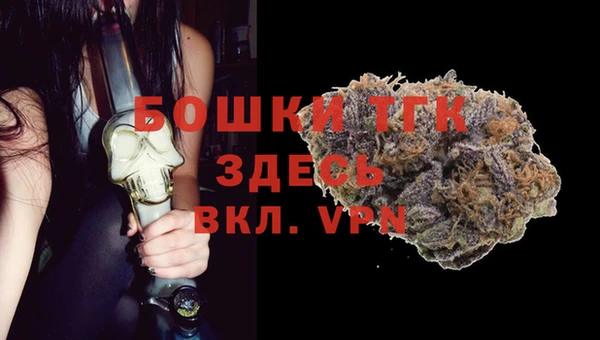 ГАЛЛЮЦИНОГЕННЫЕ ГРИБЫ Арсеньев