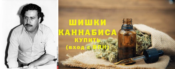 хмурый Аркадак