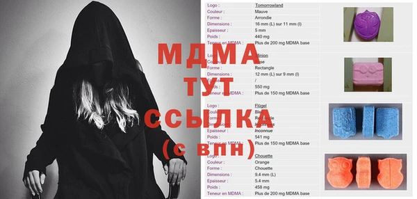 хмурый Аркадак