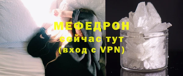 хмурый Аркадак