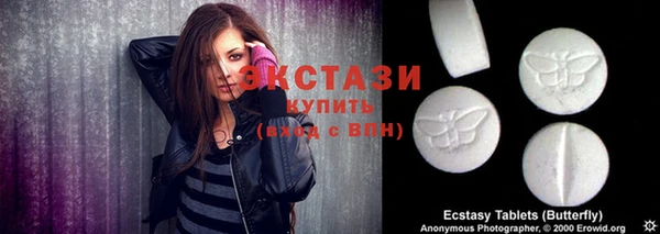 хмурый Аркадак