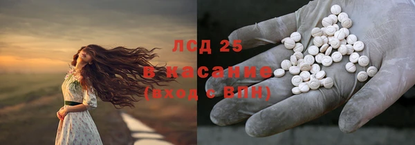 хмурый Аркадак
