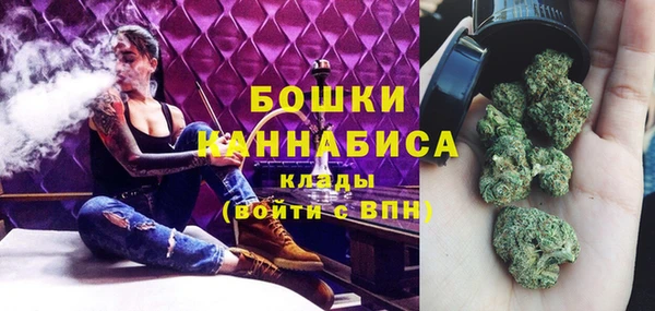 ГАЛЛЮЦИНОГЕННЫЕ ГРИБЫ Арсеньев
