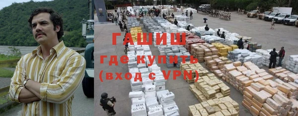 хмурый Аркадак