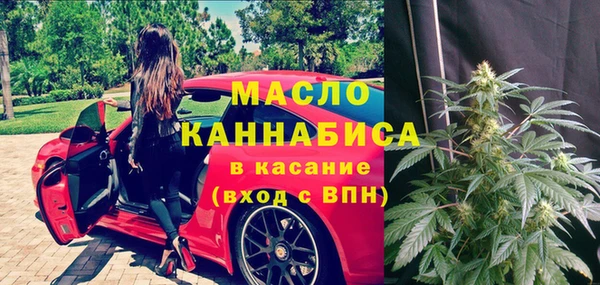 хмурый Аркадак