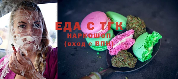 хмурый Аркадак