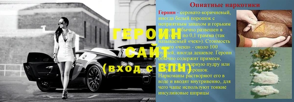 хмурый Аркадак