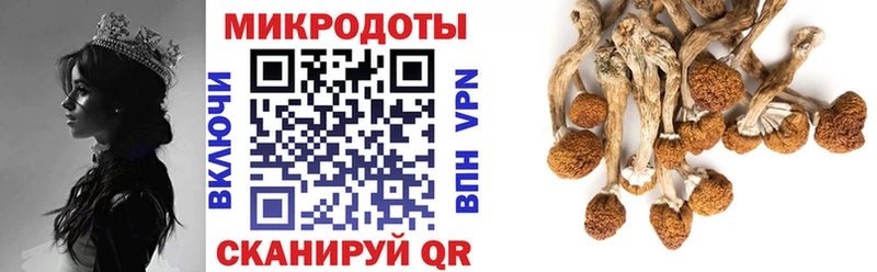 продажа наркотиков  Белозерск  Галлюциногенные грибы Magic Shrooms 